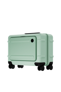 PRE -ORDER - Underseat Cabin - Green